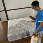 mattress disinfection