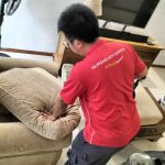 sofa deep cleaing